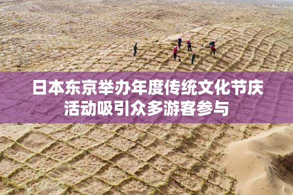 日本东京举办年度传统文化节庆活动吸引众多游客参与