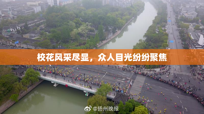 校花风采尽显，众人目光纷纷聚焦
