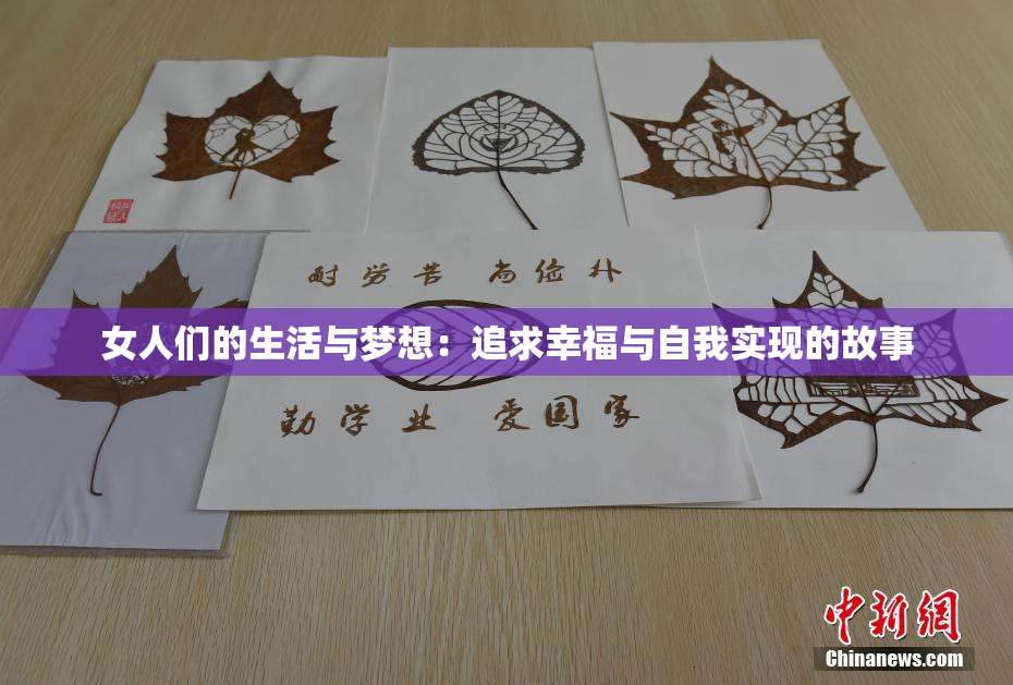 女人们的生活与梦想：追求幸福与自我实现的故事