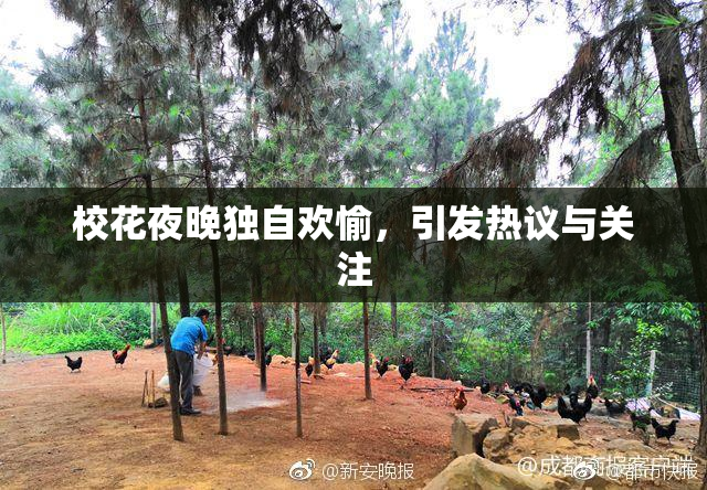 校花夜晚独自欢愉，引发热议与关注