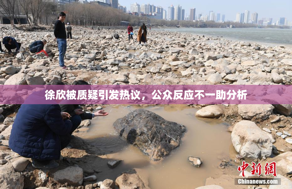 徐欣被质疑引发热议，公众反应不一助分析