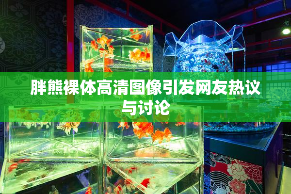 胖熊裸体高清图像引发网友热议与讨论
