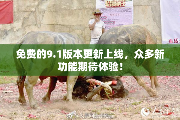 免费的9.1版本更新上线，众多新功能期待体验！