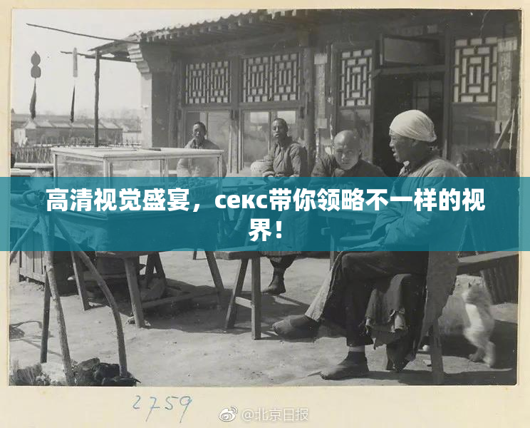 高清视觉盛宴，ceкс带你领略不一样的视界！
