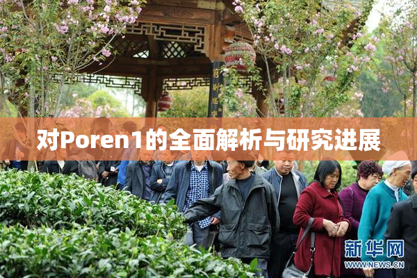 对Poren1的全面解析与研究进展