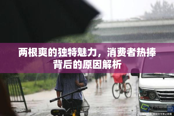 两根爽的独特魅力，消费者热捧背后的原因解析