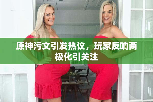 原神污文引发热议，玩家反响两极化引关注