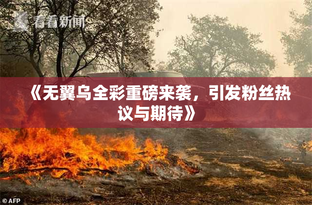 《无翼乌全彩重磅来袭，引发粉丝热议与期待》
