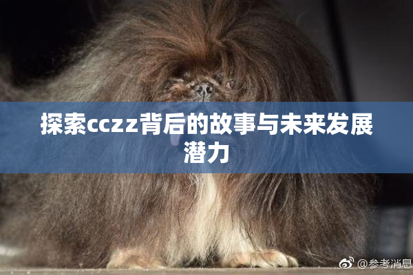 探索cczz背后的故事与未来发展潜力
