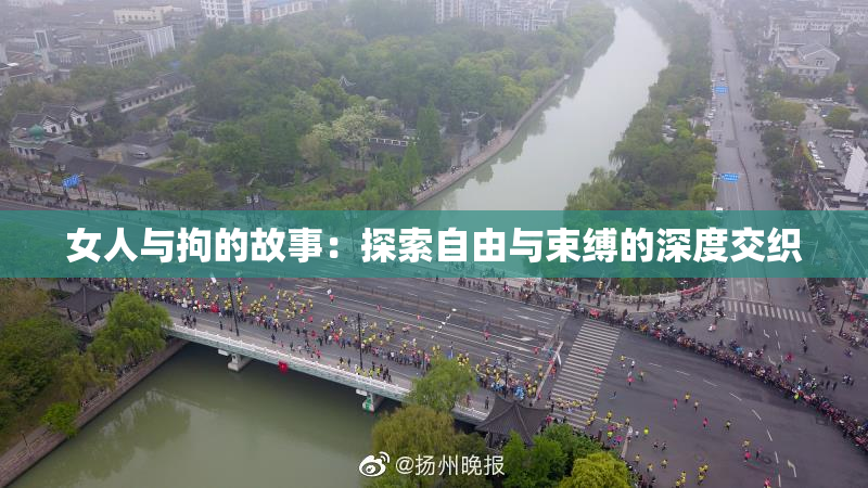 女人与拘的故事：探索自由与束缚的深度交织