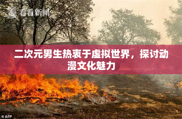 二次元男生热衷于虚拟世界，探讨动漫文化魅力