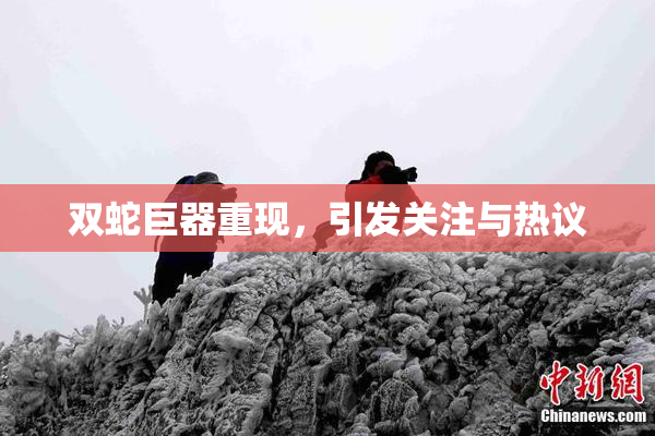 双蛇巨器重现，引发关注与热议