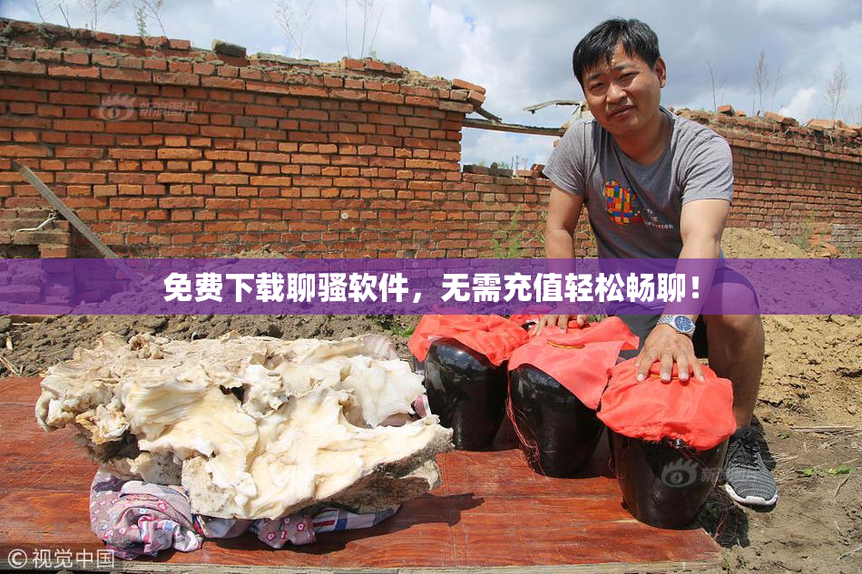 免费下载聊骚软件，无需充值轻松畅聊！