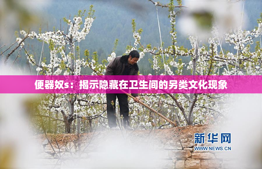便器奴s：揭示隐藏在卫生间的另类文化现象