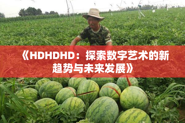 《HDHDHD：探索数字艺术的新趋势与未来发展》