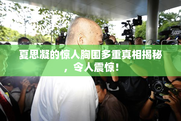 夏思凝的惊人胸围多重真相揭秘，令人震惊！