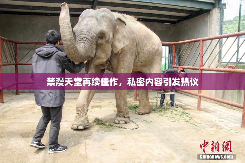 禁漫天堂再续佳作，私密内容引发热议