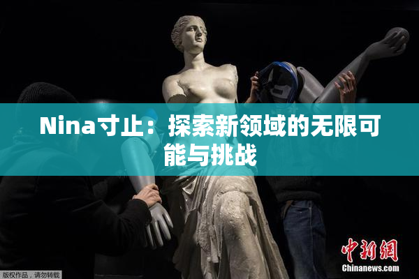 Nina寸止：探索新领域的无限可能与挑战