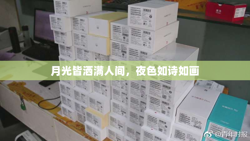 月光皆洒满人间，夜色如诗如画