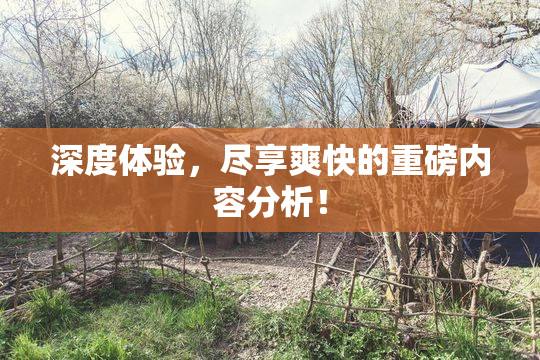 深度体验，尽享爽快的重磅内容分析！