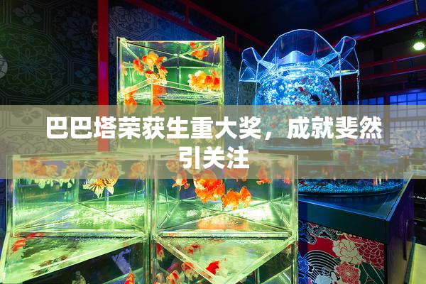 巴巴塔荣获生重大奖，成就斐然引关注