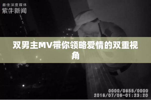双男主MV带你领略爱情的双重视角