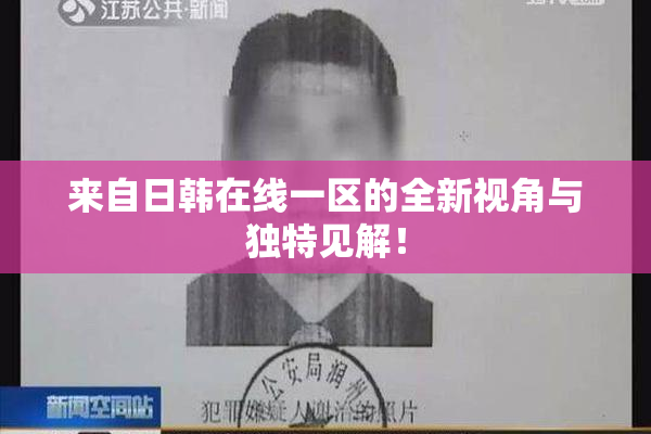 来自日韩在线一区的全新视角与独特见解！
