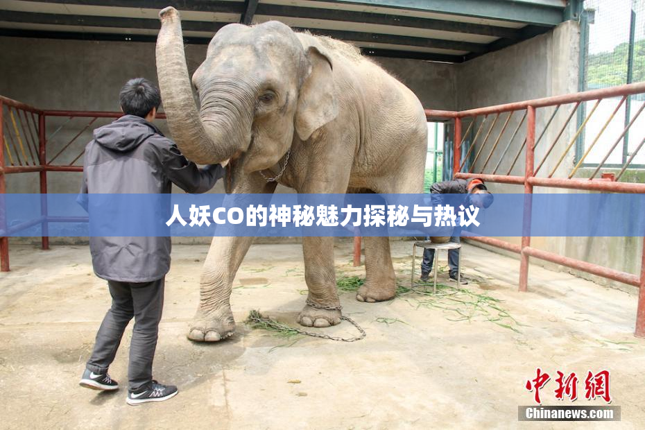 人妖CO的神秘魅力探秘与热议