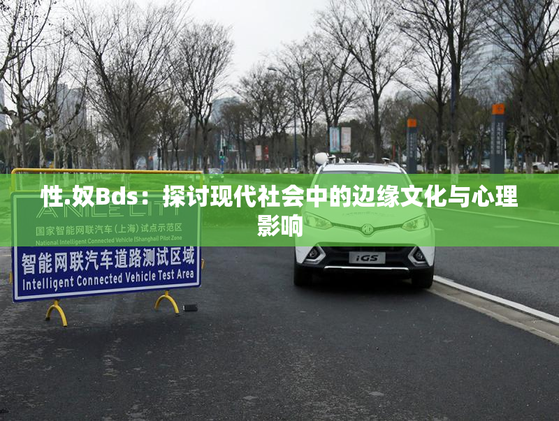 性.奴Bds：探讨现代社会中的边缘文化与心理影响