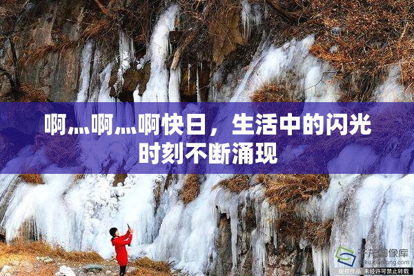 啊灬啊灬啊快日，生活中的闪光时刻不断涌现