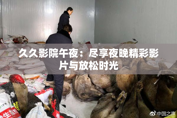 久久影院午夜：尽享夜晚精彩影片与放松时光
