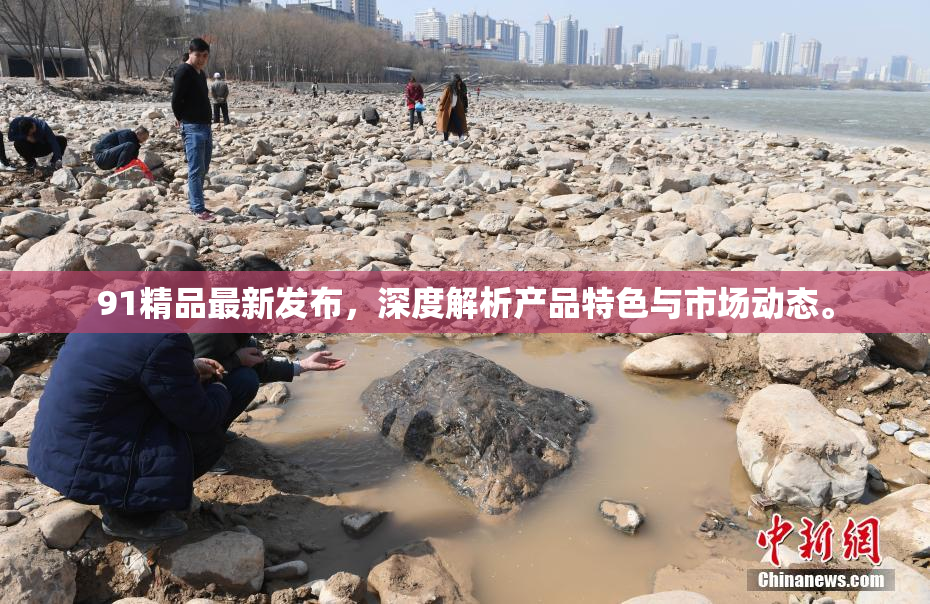 91精品最新发布，深度解析产品特色与市场动态。