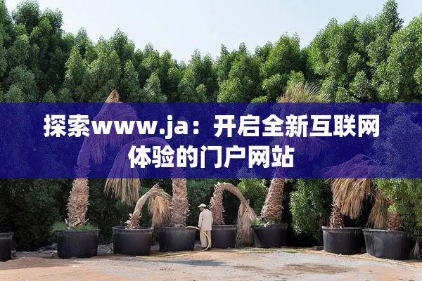 探索www.ja：开启全新互联网体验的门户网站