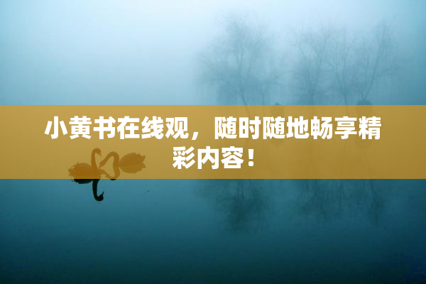 小黄书在线观，随时随地畅享精彩内容！