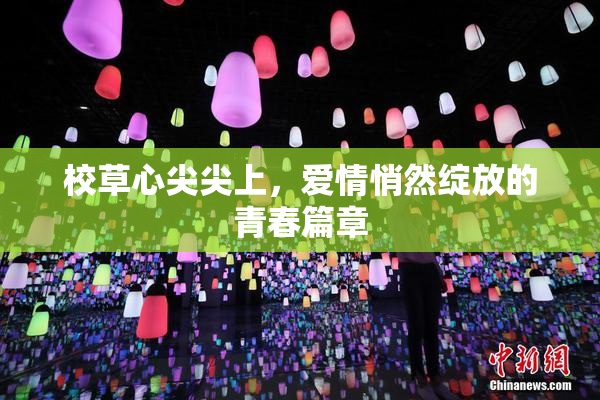 校草心尖尖上，爱情悄然绽放的青春篇章