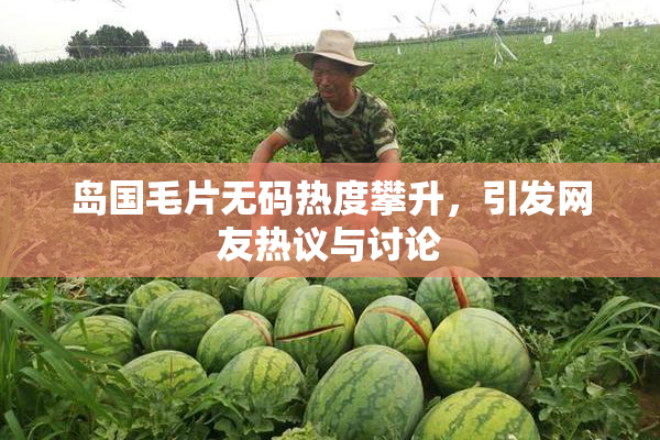 岛国毛片无码热度攀升，引发网友热议与讨论