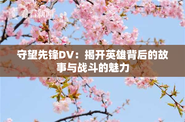 守望先锋DV：揭开英雄背后的故事与战斗的魅力