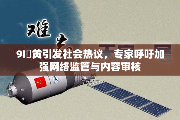 9I婬黄引发社会热议，专家呼吁加强网络监管与内容审核