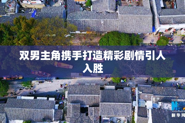 双男主角携手打造精彩剧情引人入胜