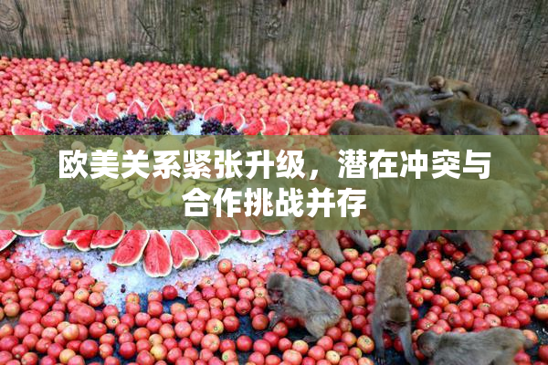 欧美关系紧张升级，潜在冲突与合作挑战并存