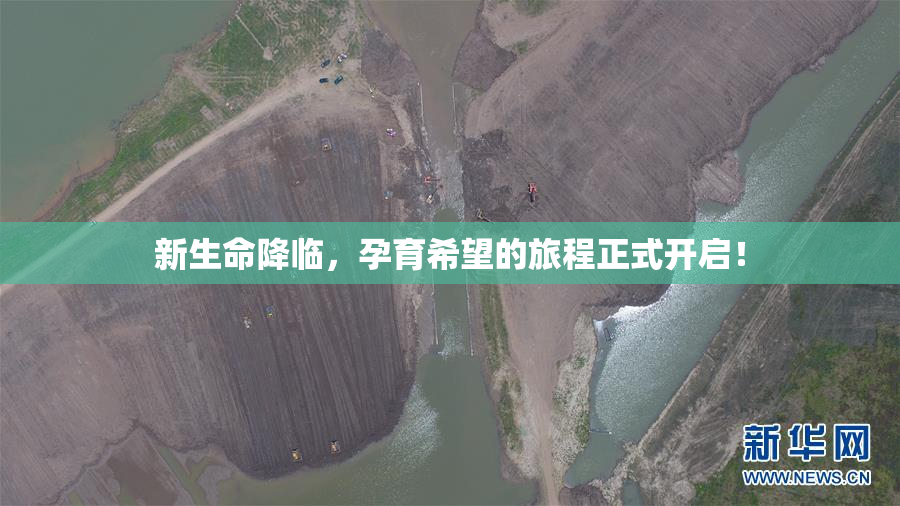 新生命降临，孕育希望的旅程正式开启！