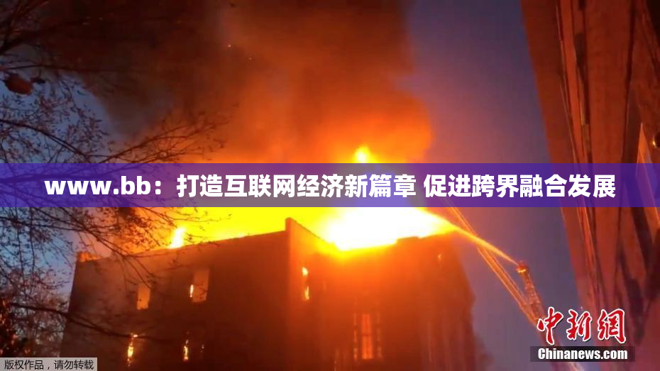 www.bb：打造互联网经济新篇章 促进跨界融合发展