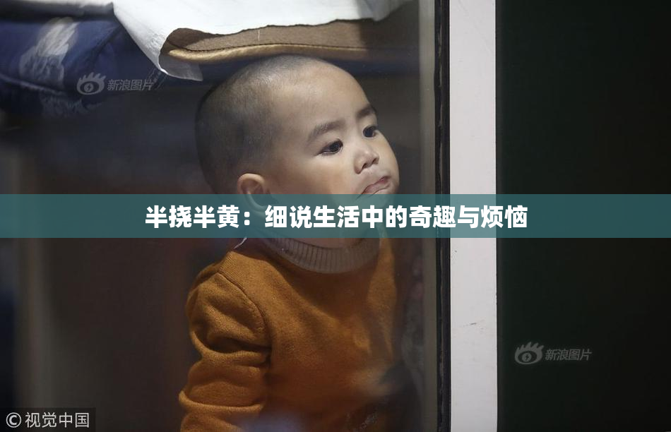 半挠半黄：细说生活中的奇趣与烦恼