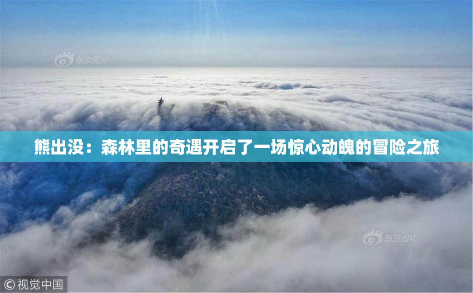 熊出没：森林里的奇遇开启了一场惊心动魄的冒险之旅
