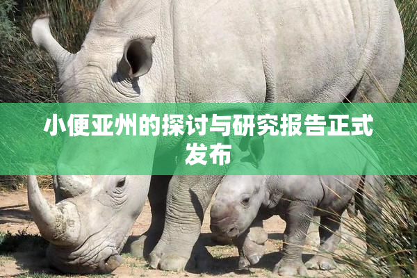 小便亚州的探讨与研究报告正式发布