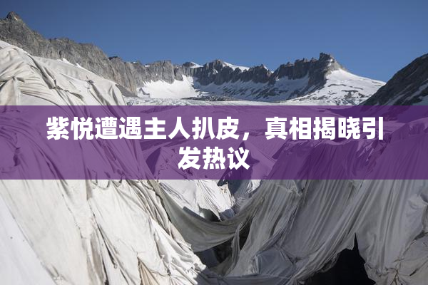 紫悦遭遇主人扒皮，真相揭晓引发热议