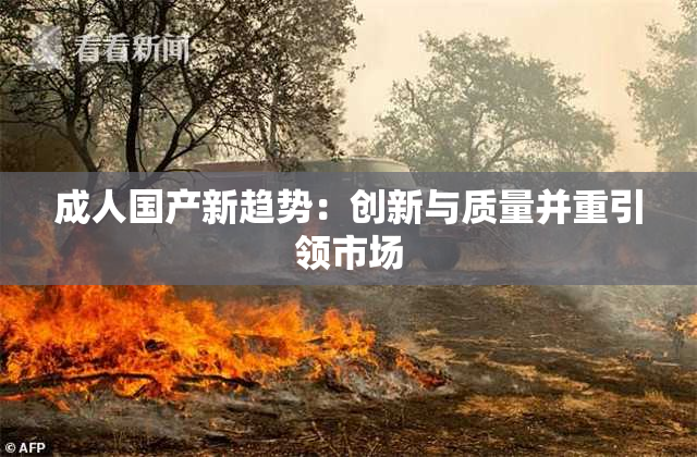 成人国产新趋势：创新与质量并重引领市场