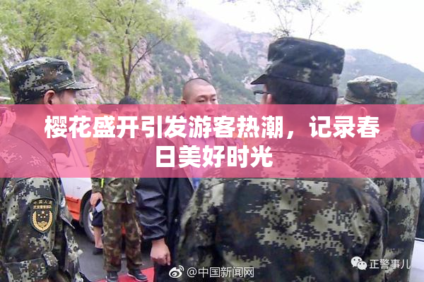 樱花盛开引发游客热潮，记录春日美好时光