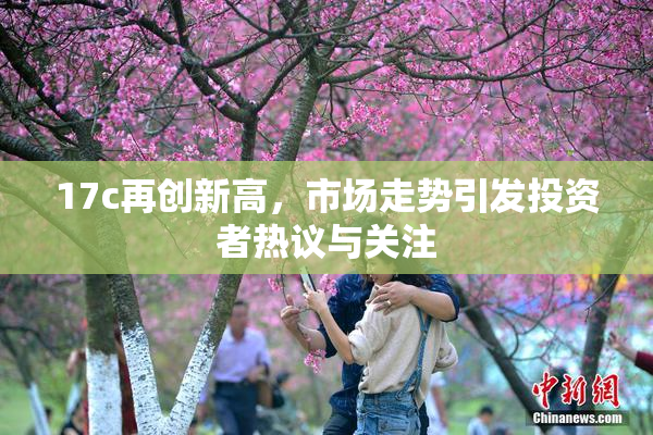 17c再创新高，市场走势引发投资者热议与关注