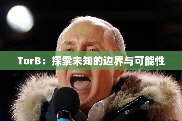 TorB：探索未知的边界与可能性